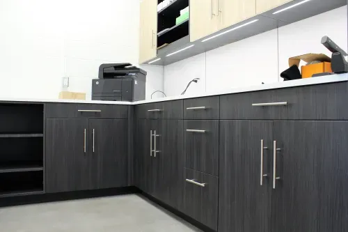 Modern dark grey cabinets.