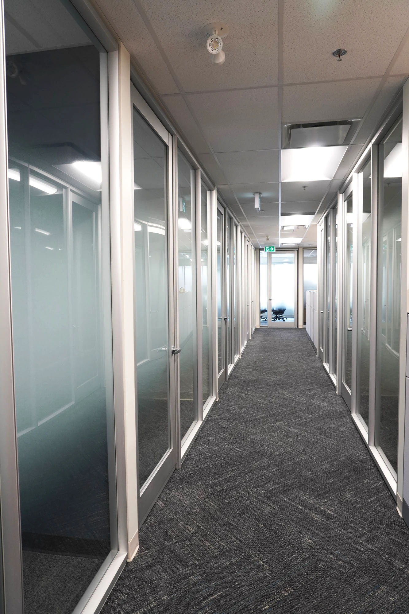 View down long hallway with frosted glass windows and doors lining both walls