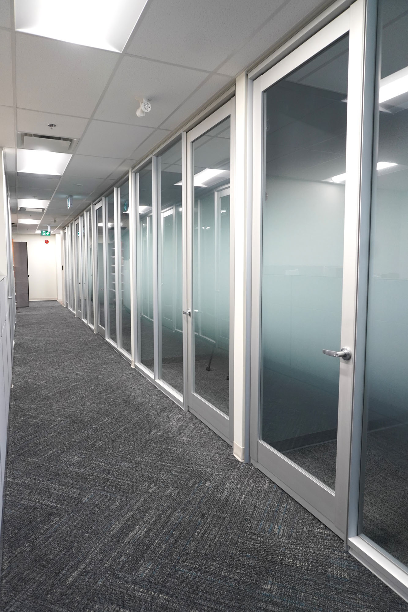 View down office hallway lined with frosted glass windows and doors