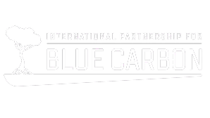Conservation international