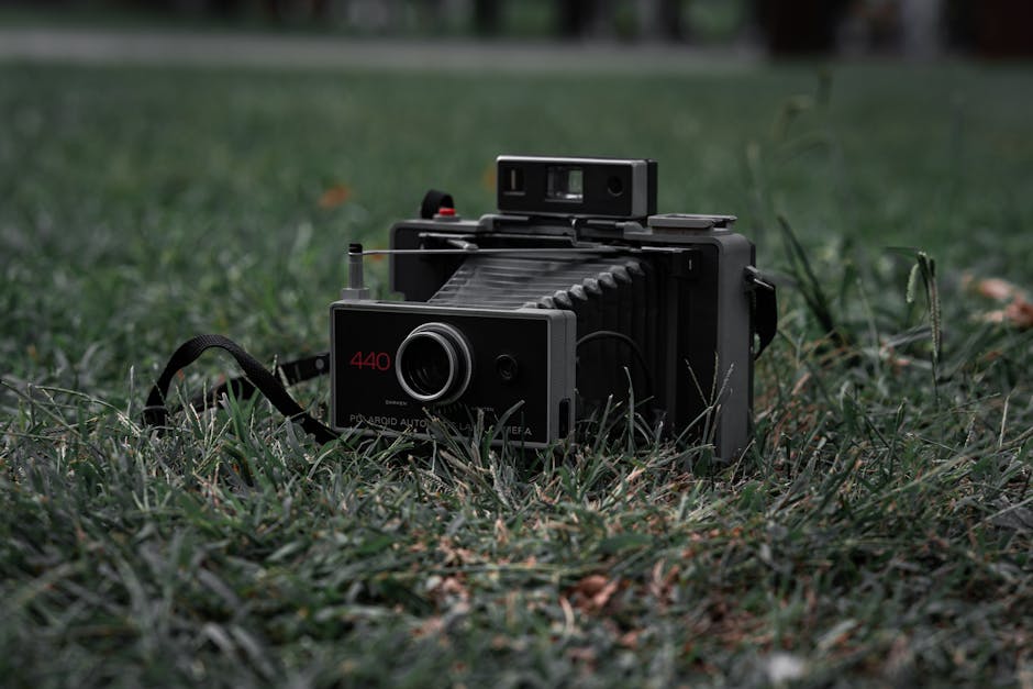 Detailed Reviews of the Top 10 Delaware Digital Yearbook Providers