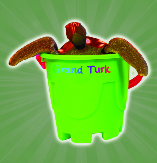 Personalized Turtle Buckets