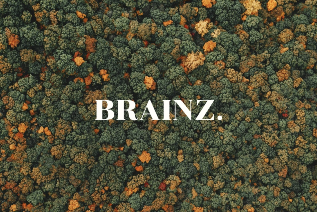 Executive Contributor Announcement for Brainz Magazine