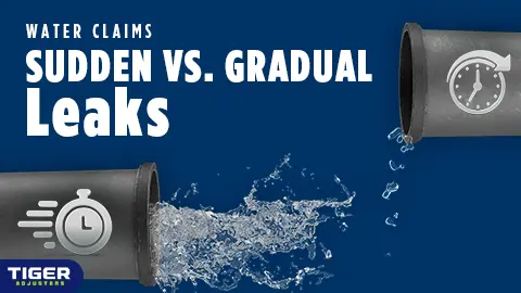 Water damage is one of the most common types of property insurance claims. Was the damage sudden and accidental, or gradual and chronic?