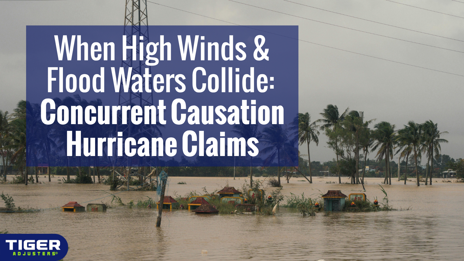 When High Winds & Flood Waters Collide: Concurrent Causation Hurricane Claims