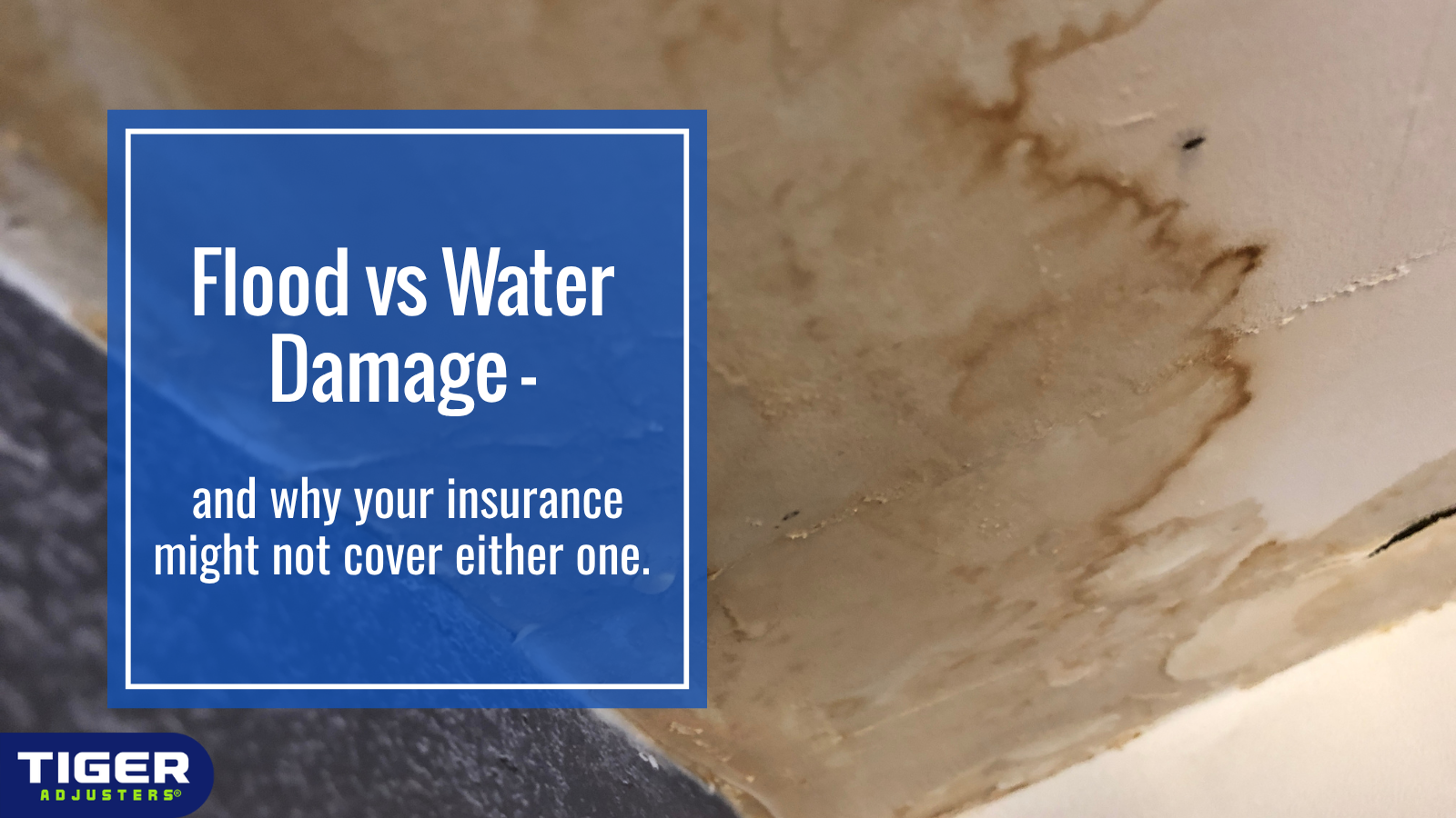 Flood Damage vs. Water Damage: Why Your Policy May Exclude Both