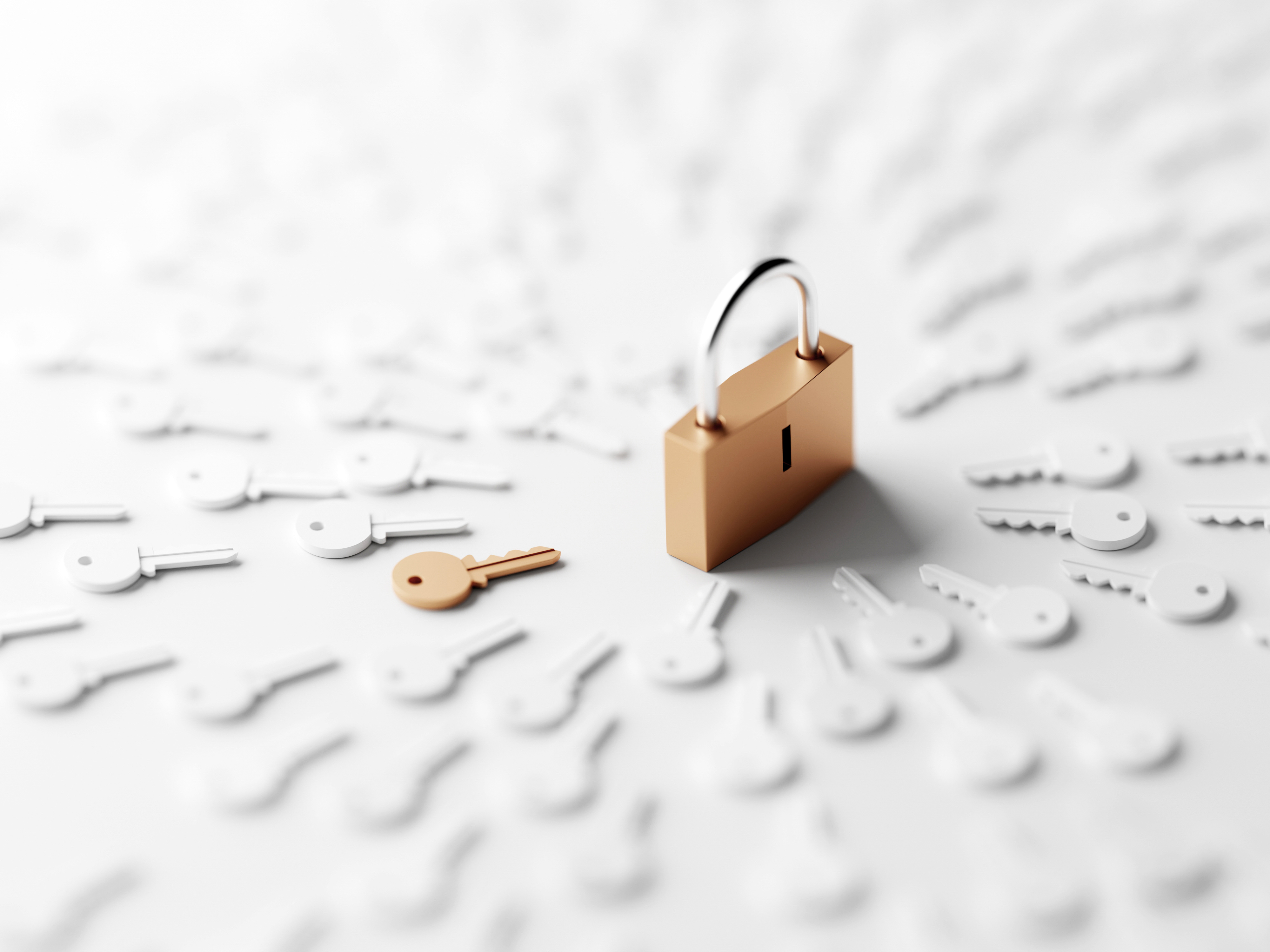 Danae Jones interviewing