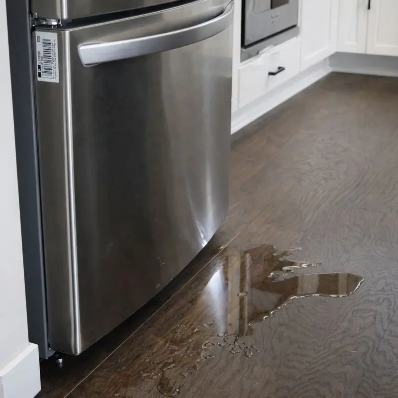 Water puddle under refrigerator in kitchen