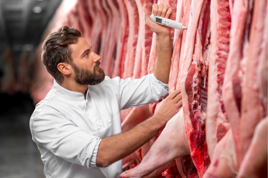 Metzger misst die Temperatur von aufgehängtem Schweinefleisch in einem Kühlraum.