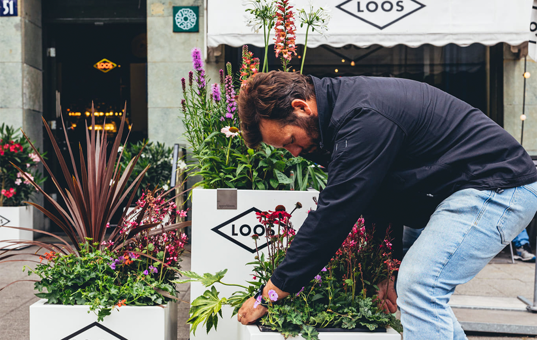 Voor Upperbloom hebben we de doorontwikkeling van de website overgenomen en doorgezet naar een volgende fase. Met focus op performance, beheerbaarheid en conversie hebben we zowel functioneel als technisch flinke stappen gemaakt.