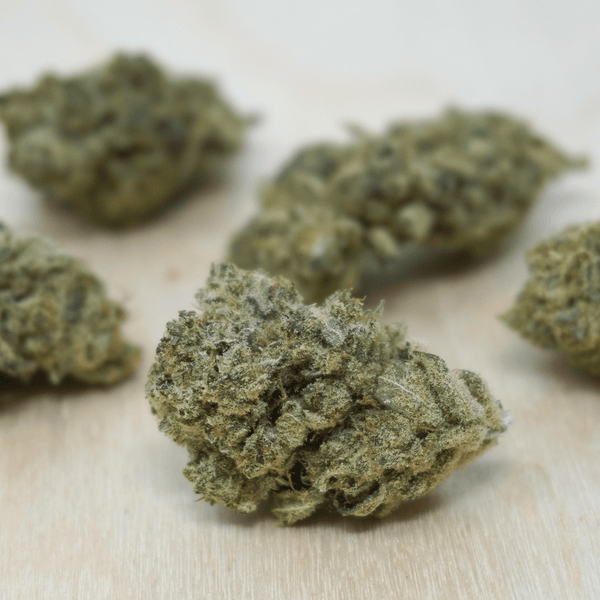 Cali Haze CBD Bud | Ireland's & the UK's Best CBD Flower