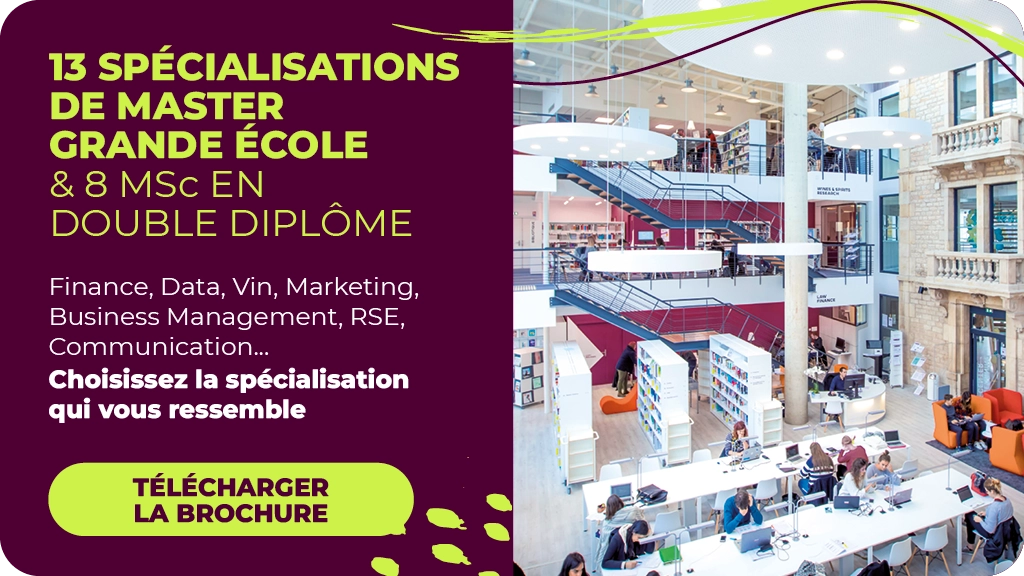 3 spécialisations de Master Grande École et 8 MSc en double diplôme à la BSB – Finance, Data, Vin, Marketing, Business Management, RSE, Communication – Découvrez et choisissez la spécialisation qui vous ressemble - BSB