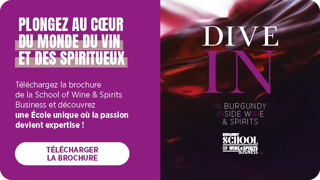 Plongez au coeur du monde du vin et des spiritueux - BSB