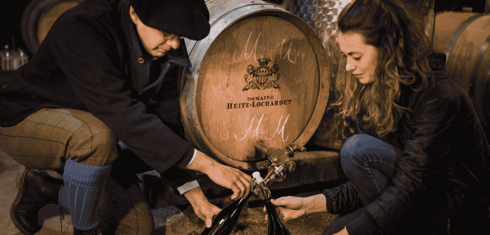 Alternance vin et spiritueux : Le guide pour vous lancer - BSB