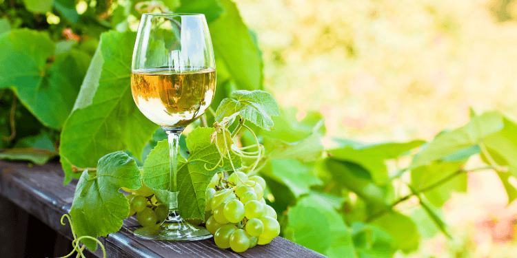 Formation WSET vin niveaux débouchés et certification pour professionnels du vin - BSB Éducation