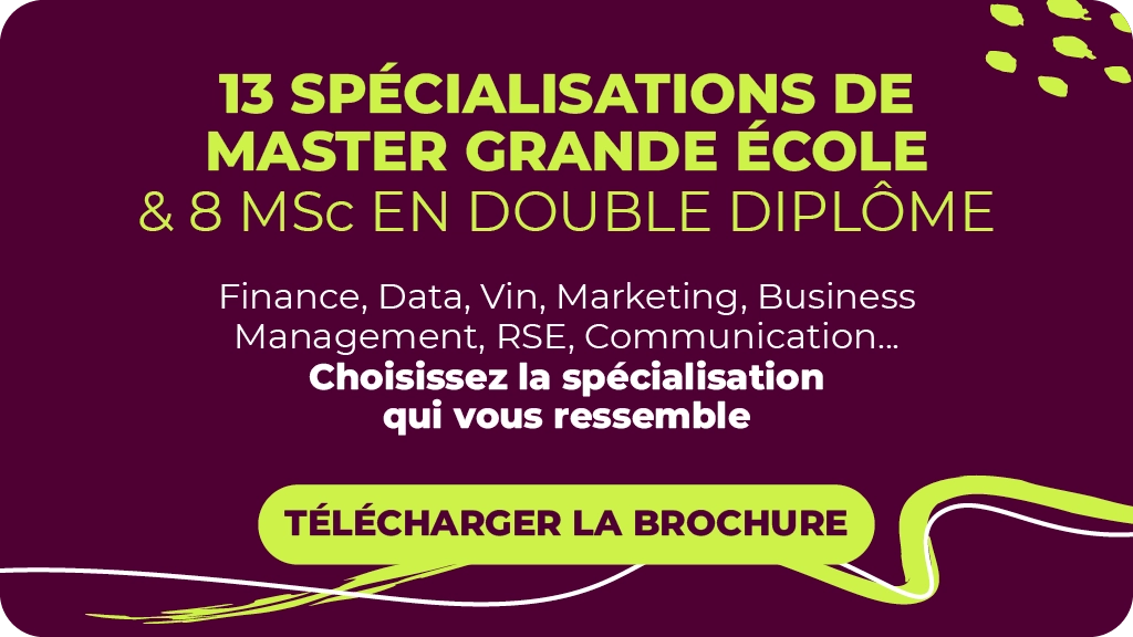 Double Diplome - BSB