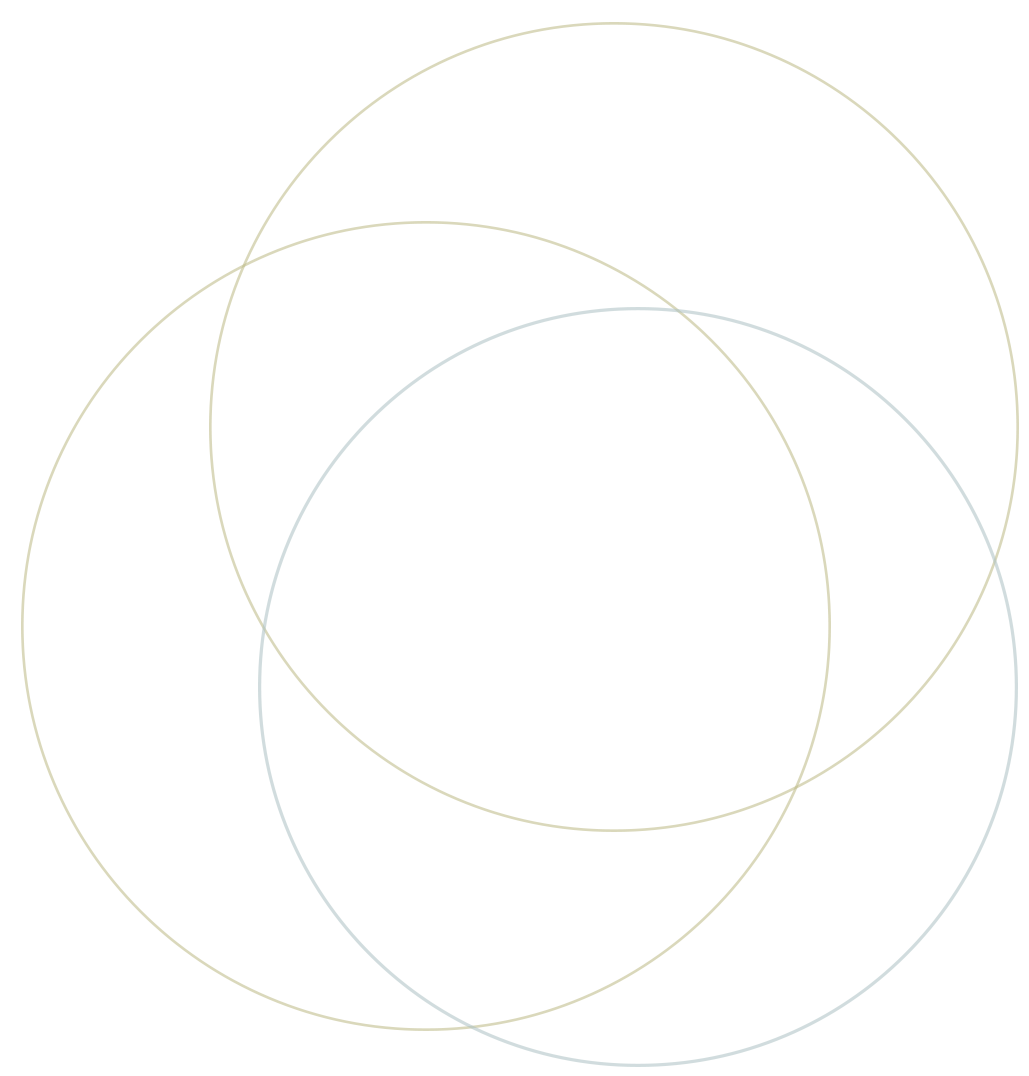 Circles That Interset