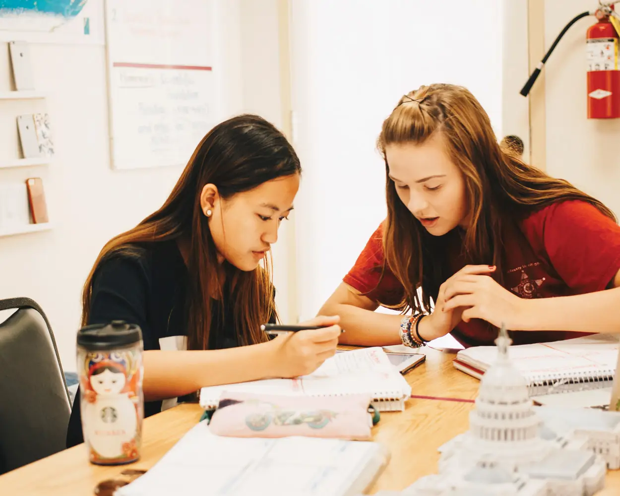 Two Besant Hill students studying together