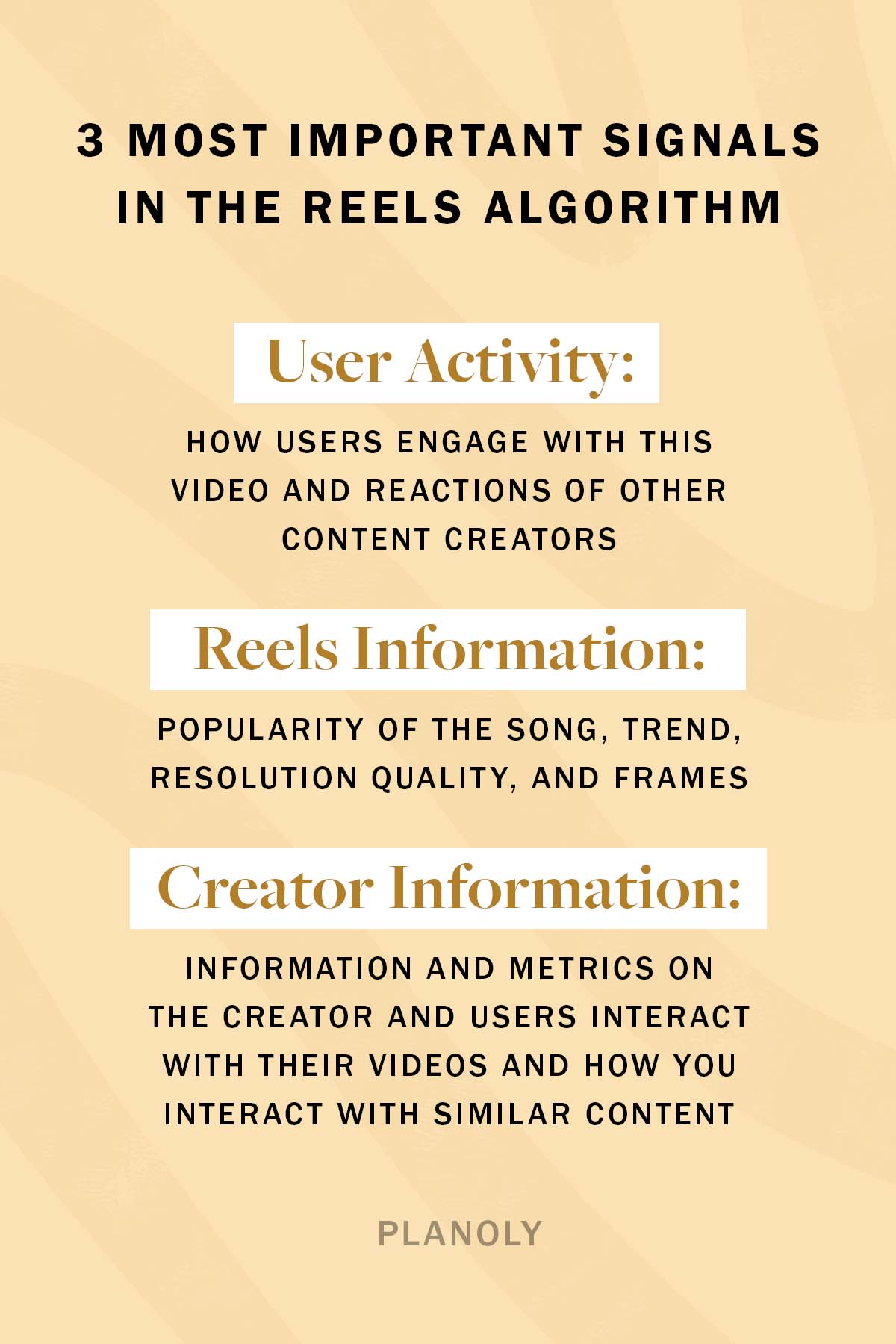 PLANOLY-Blog Post-Reels Algorithm-Vertical Img