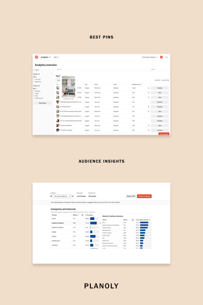 Pinterest Audience Insights
