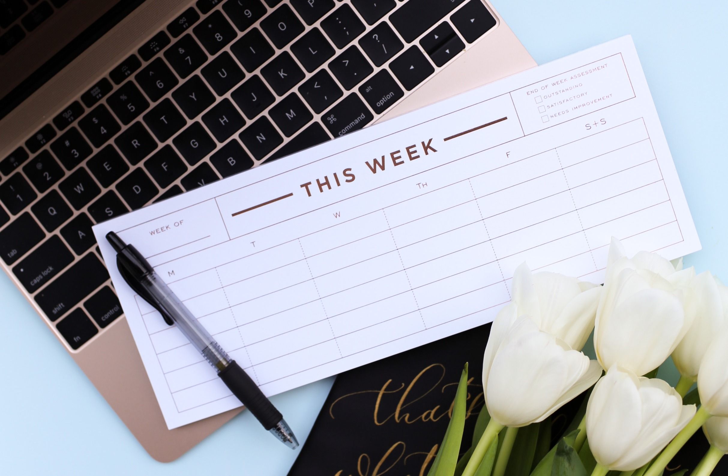 planoly_stock_IMG_2938