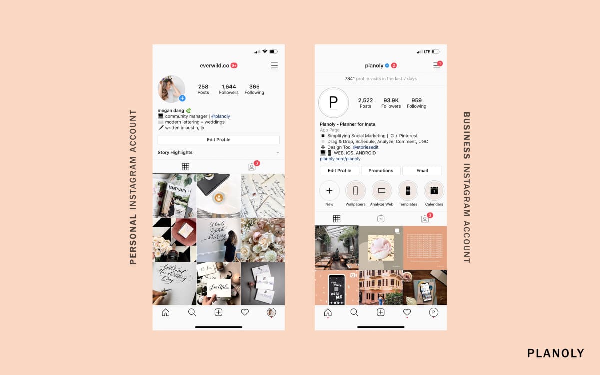 latest articles image