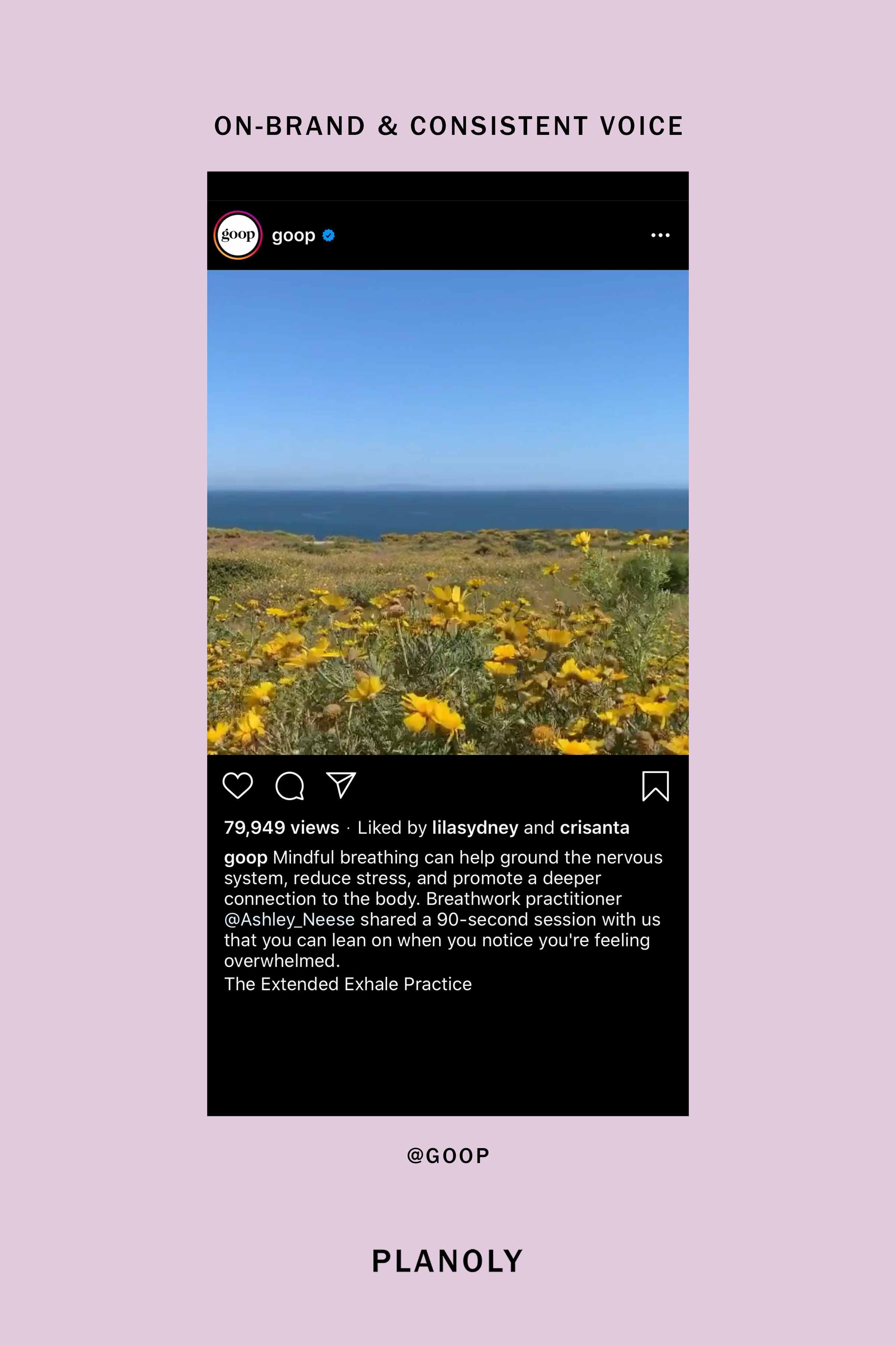 PLANOLY-Blog-Post-The-Ultimate-Guide-to-Writing-Better-Instagram-Captions-Image-5