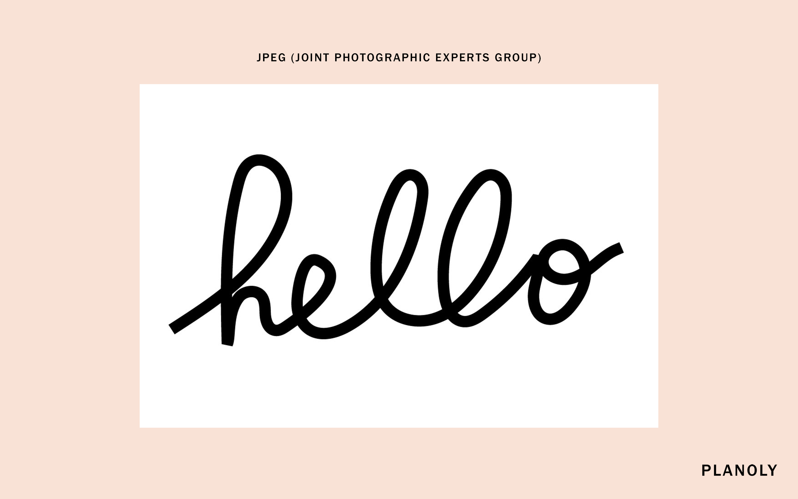 PLANOLY-Blog-Post-File-Types-and-When-to-Use-Them-Image-1