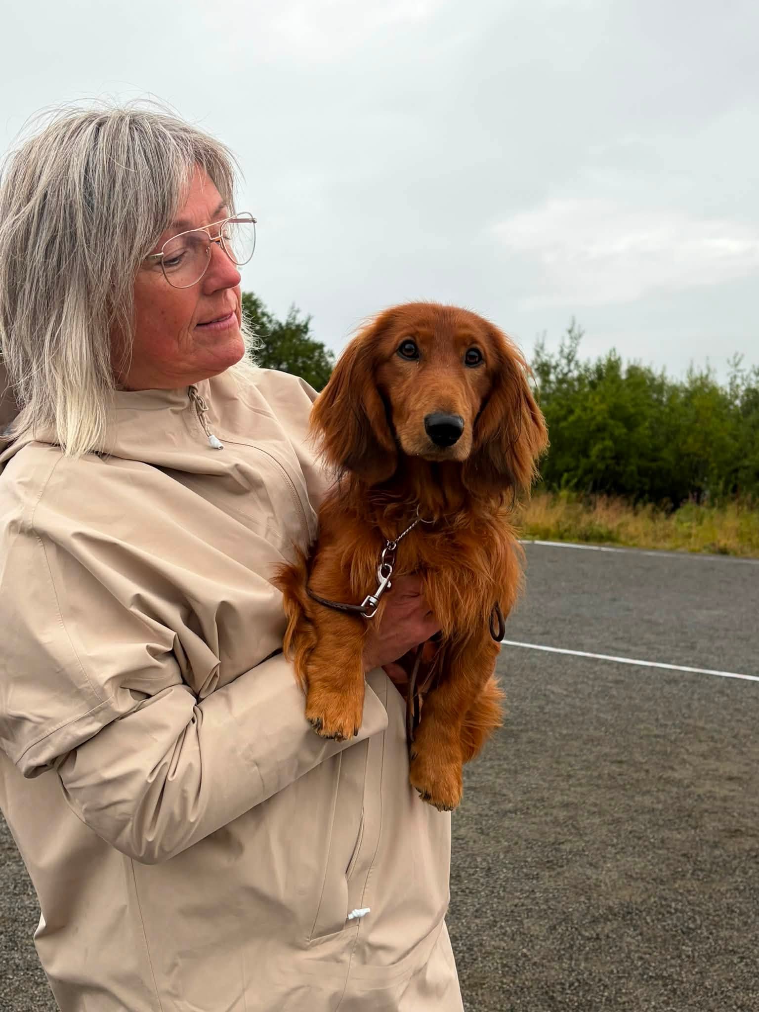 Kan være et bilde av hund