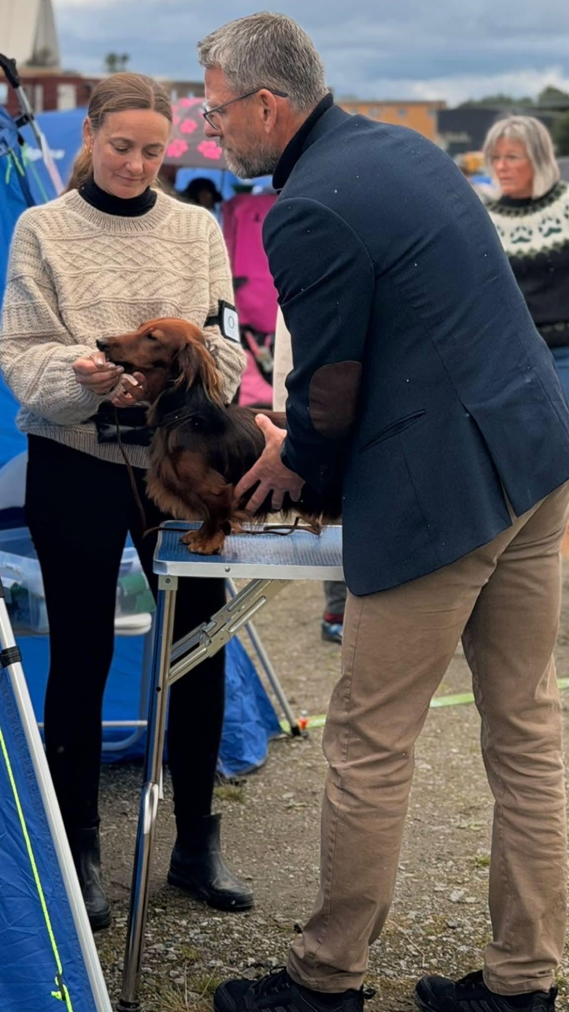 Kan være et bilde av hund