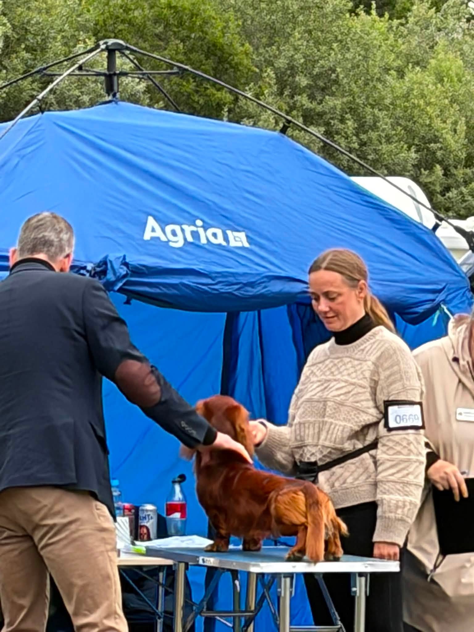 Kan være et bilde av hund og tekst som sier 'M5 Agrian 0669'