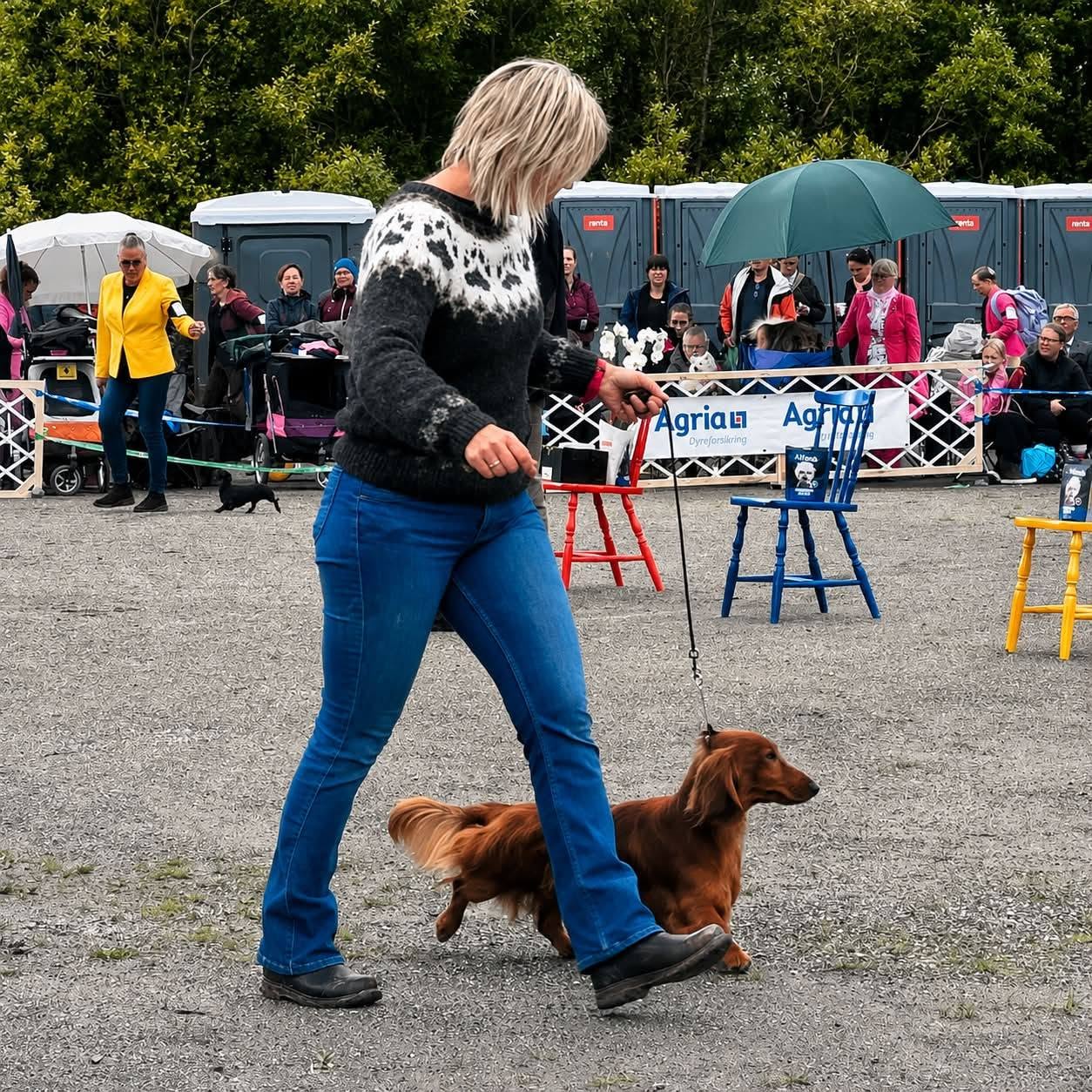 Kan være et bilde av hund