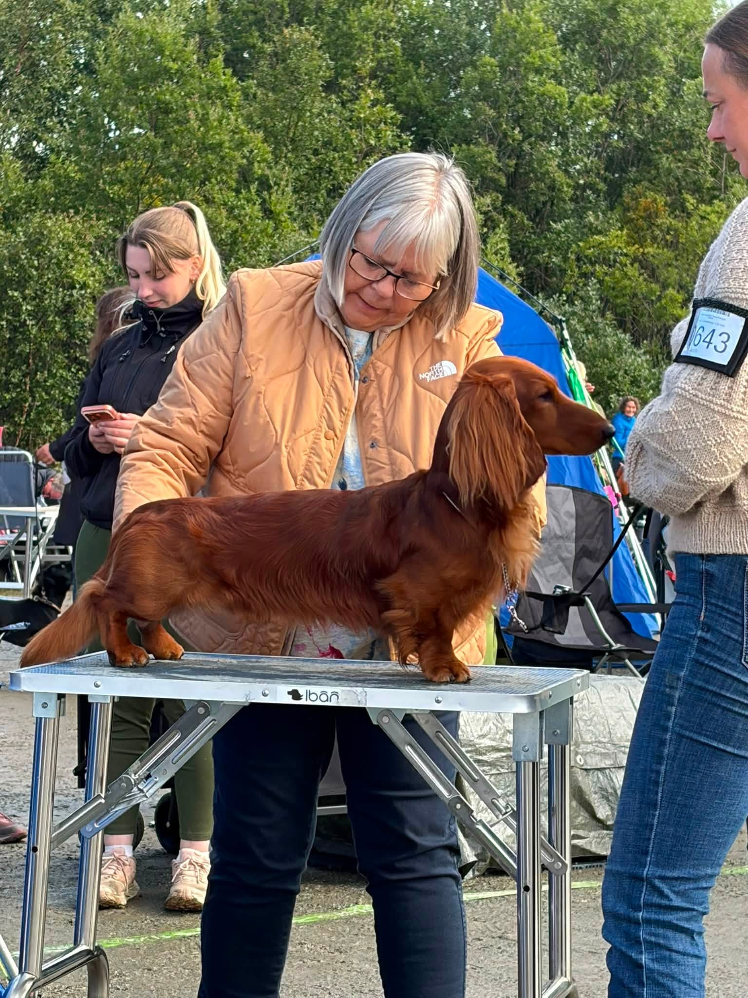 Ingen bildebeskrivelse er tilgjengelig.