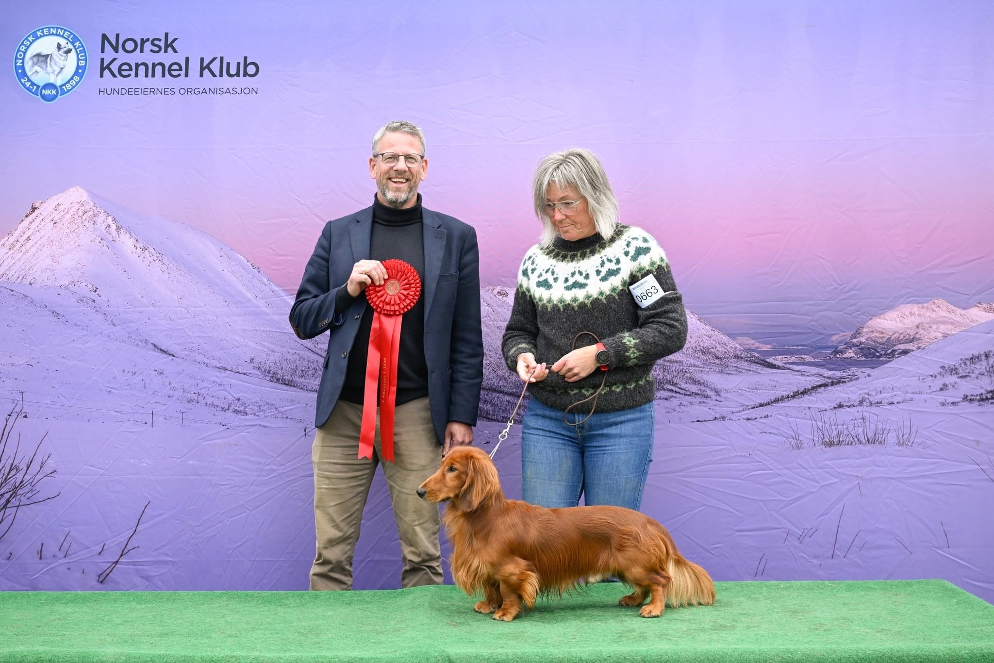 Kan være et bilde av hund og tekst som sier '合 Norsk Kennel Klub 24-1 NAOK 1098 HUNDEEIERNESORGANISASJON HUNDEEIERNES ORGANISASJON た 0663'