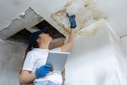 Inspector checking ceiling water damage