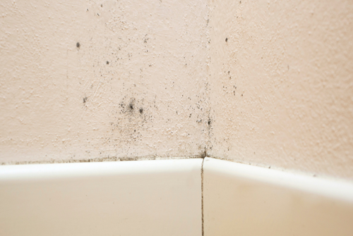 mouldy interior wall