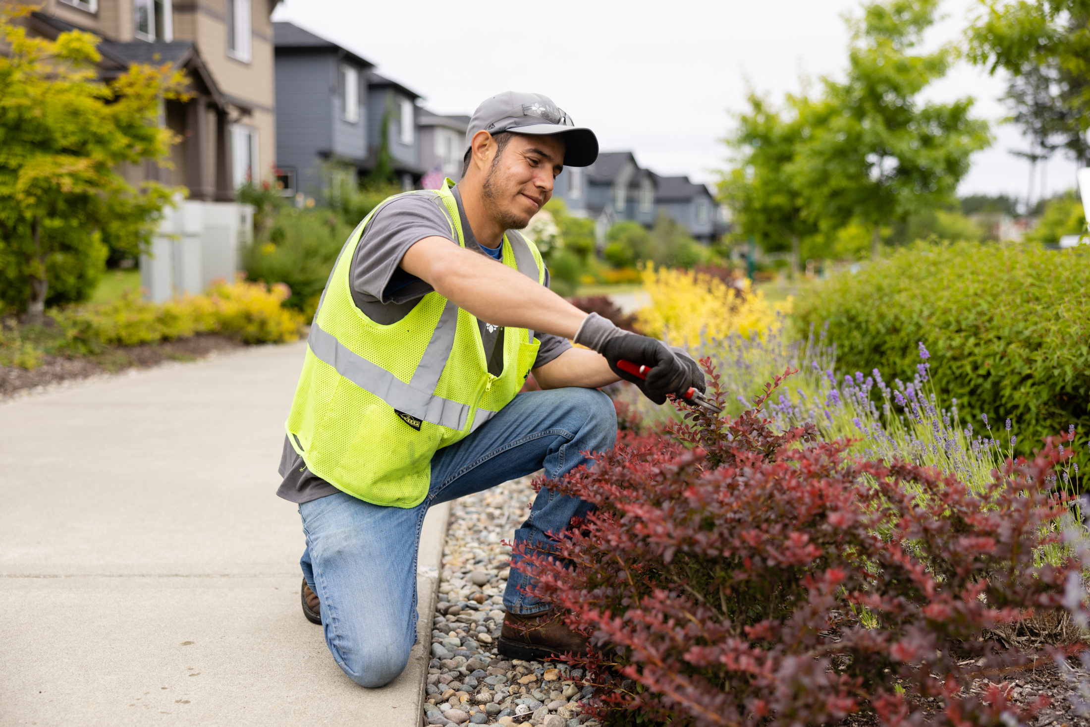 commercial maintenance 