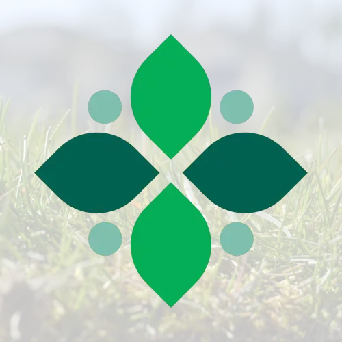 Nasim Landscape Team Member