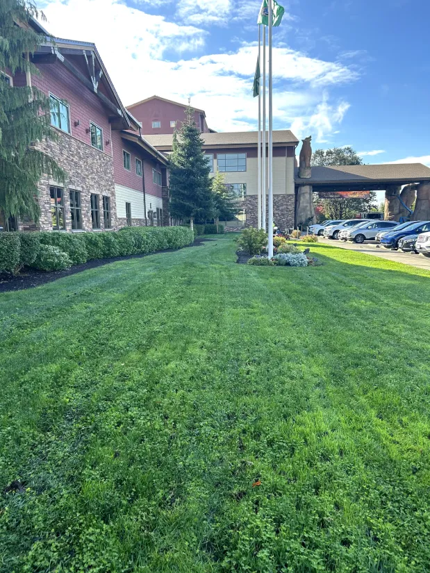 A broad shot of the lawn and landscaping at the Great Wolf Lodge, featuring a flagpole in the center and a view of the entrance area.