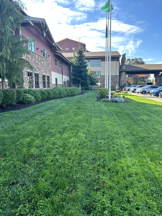 Another perspective of the Great Wolf Lodge's landscaping, highlighting the clean grass and well-maintained greenery with the lodge's entrance in the background.