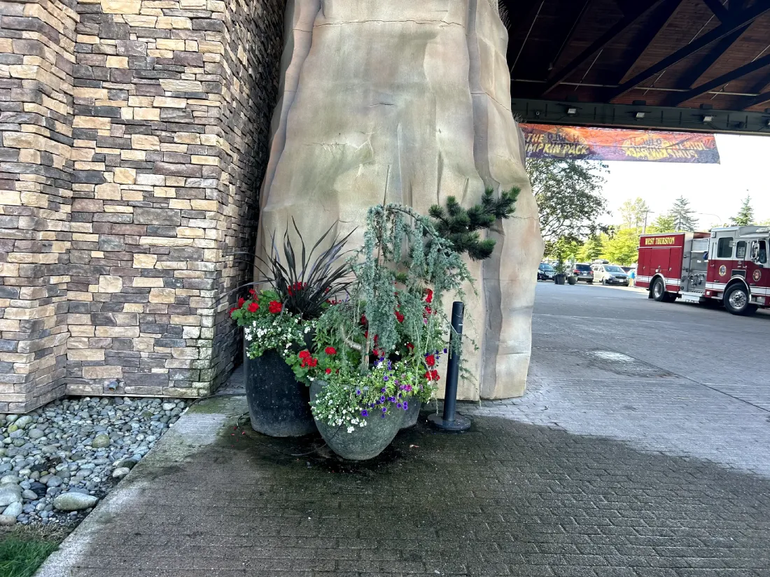 A close-up of decorative planters with vibrant flowers placed at the base of a large stone pillar near the entrance of the Great Wolf Lodge.