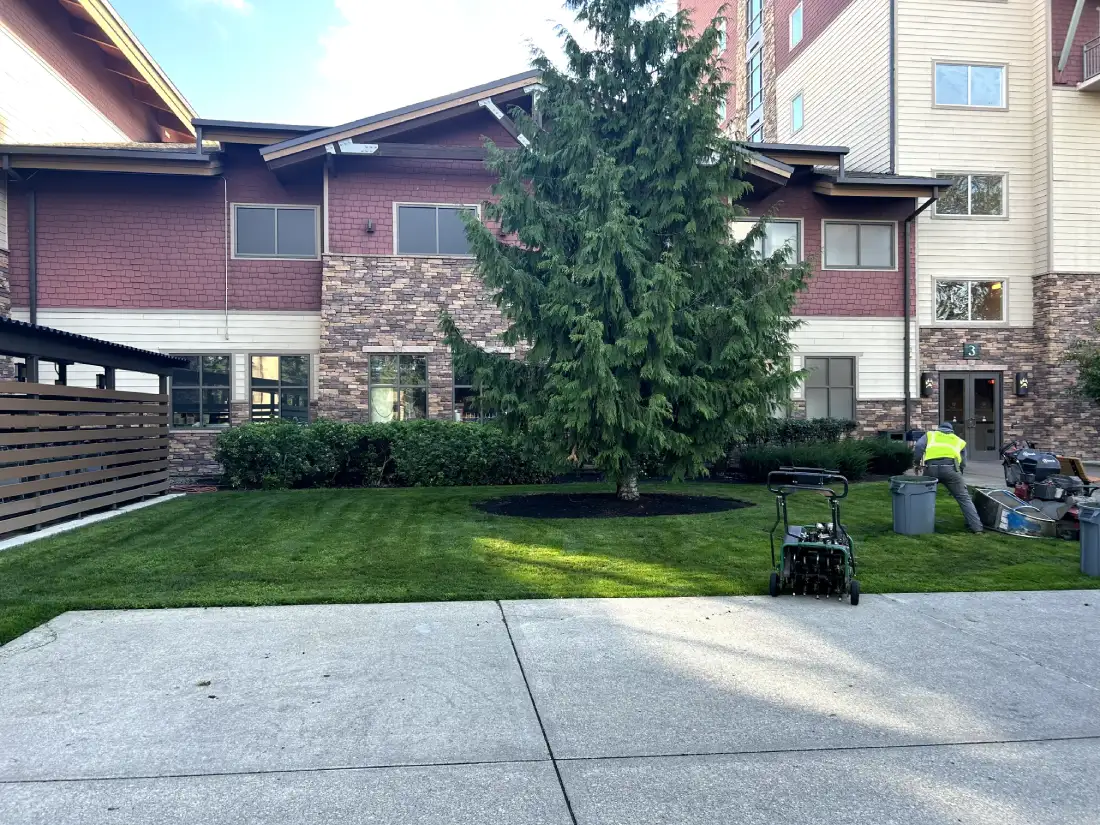 A side view of the Great Wolf Lodge's landscape, showing a neatly maintained lawn, a large evergreen tree, and a worker tending to the greenery.