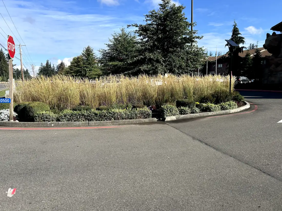 A circular landscape feature at the Great Wolf Lodge, filled with ornamental grasses and shrubs, situated in the parking area.