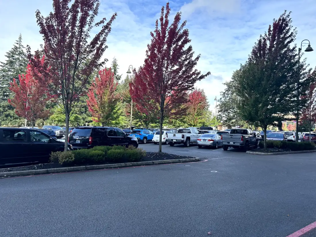 A view of a parking lot at the Great Wolf Lodge, bordered by trees with vibrant autumn foliage, adding a pop of color to the landscape.