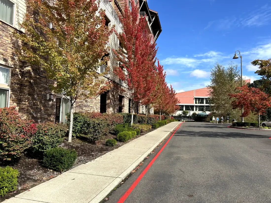 A landscaped walkway outside the Great Wolf Lodge, with fall-colored trees and shrubs lining the pathway, leading towards a distant building under a bright blue sky.
