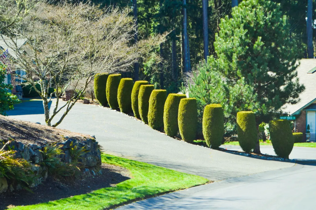 A winding driveway surrounded by manicured grass and tidy landscaping, highlighting the pristine appearance of the Springwater HOA community.