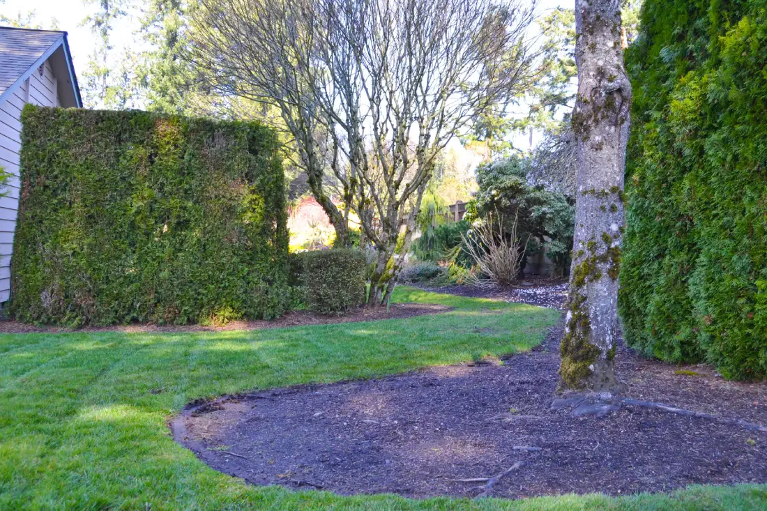 A landscaped area at the Springwater HOA project featuring freshly mulched flower beds and well-maintained greenery.