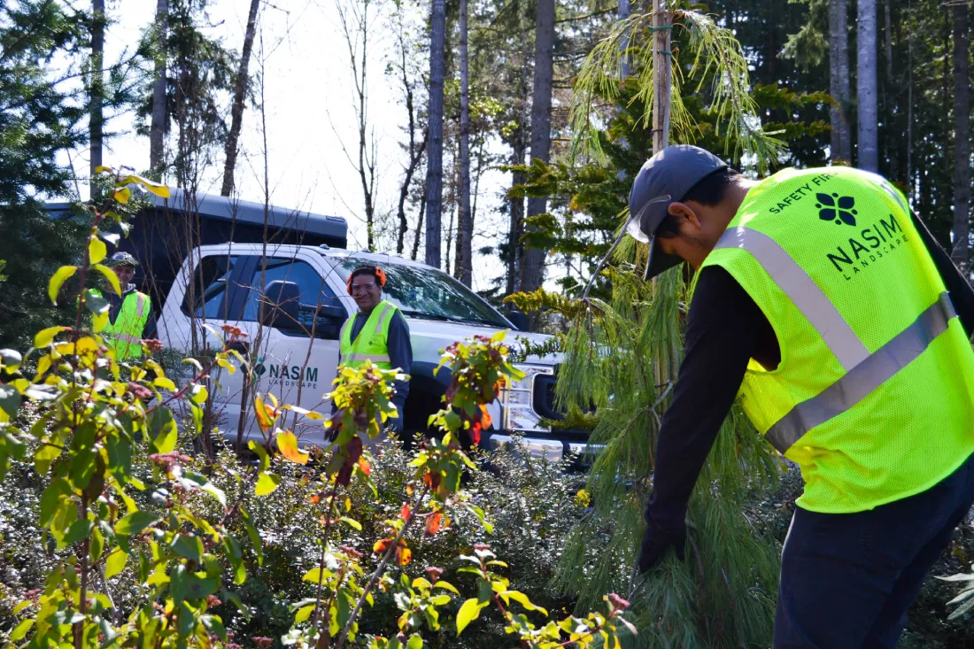 A Nasim Landscape worker wearing a high-visibility vest trimming shrubs and maintaining the landscaping at Heron's Key senior living community.
