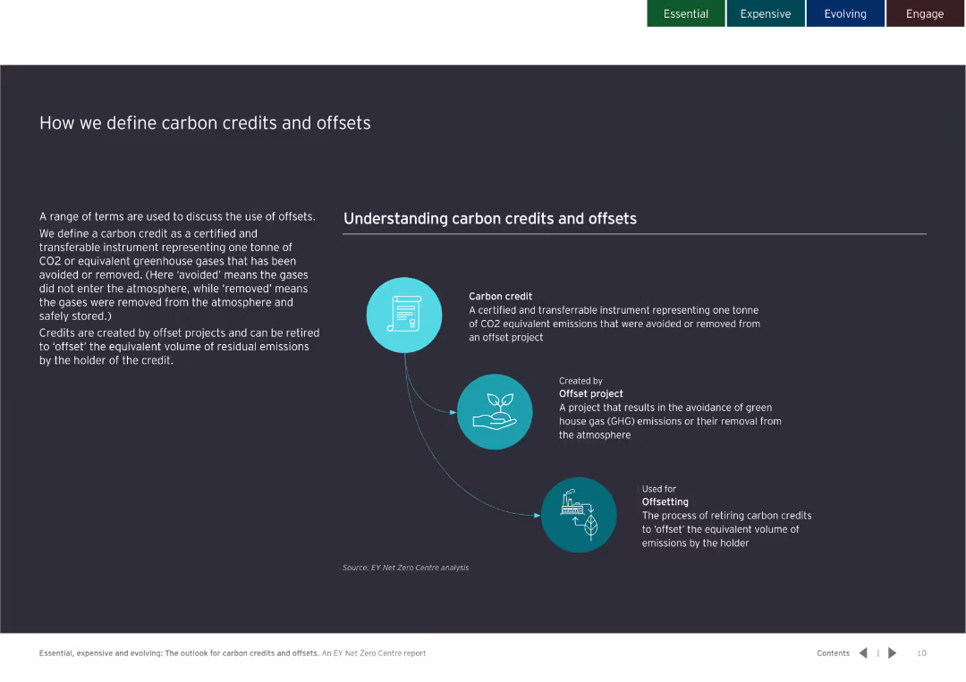 Essential, expensive and evolving: The outlook for carbon credits and offsets