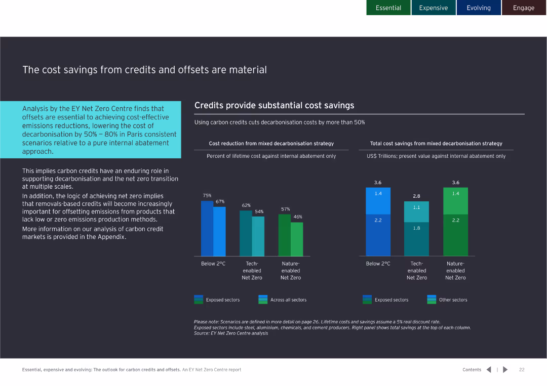 Essential, expensive and evolving: The outlook for carbon credits and offsets